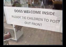 Enlace a Perros bienvenidos, por favor atad a los niños en el poste de delante