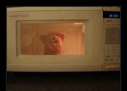 Enlace a INTENTAR RELAJARTE