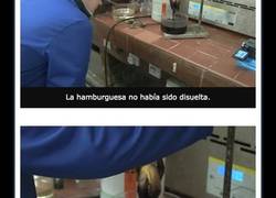 Enlace a Este experimento con una hamburguesa de McDonald’s te dará ganas de vomitar