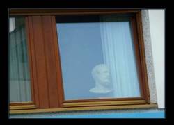 Enlace a ¿Por qué sois tan crueles?