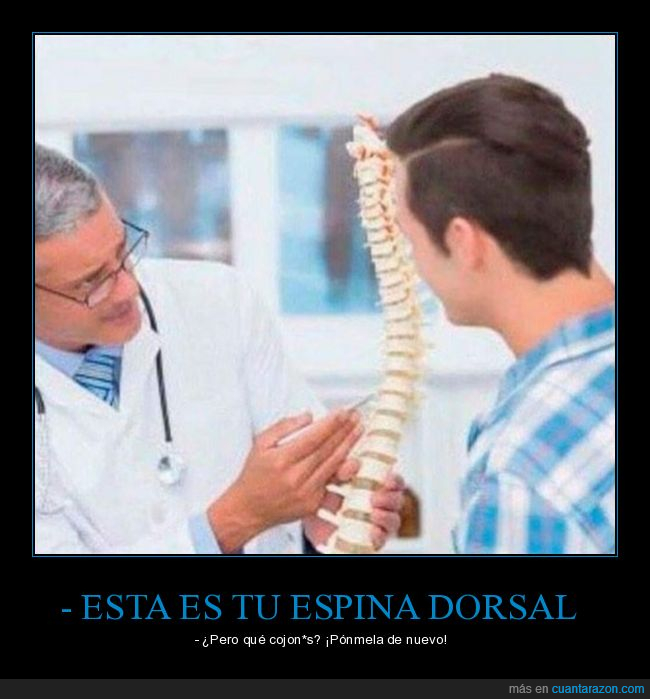 doctor,explicación,espina dorsal