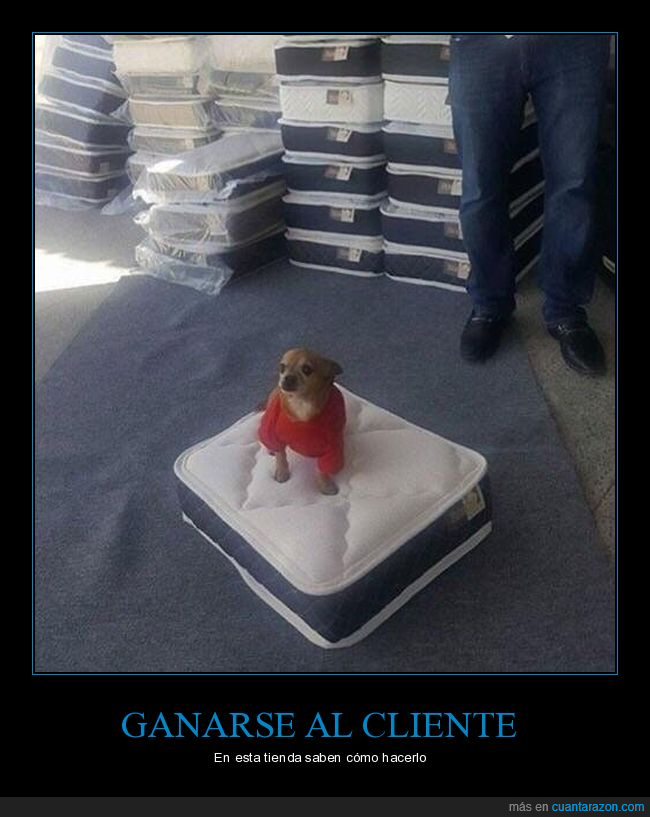 Mini colchones para perros sales