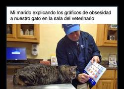 Enlace a Explicando la obesidad a un gatito