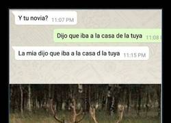 Enlace a Consuelo de bros
