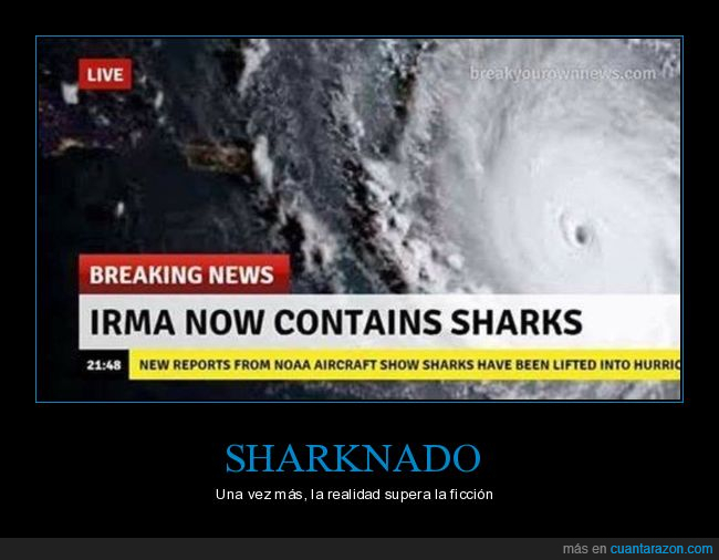 broma,es fake,huracan irma,mirad la fuente parahacer carteles así,sharknado,tiburones