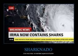 Enlace a No sé Rick, parece falso