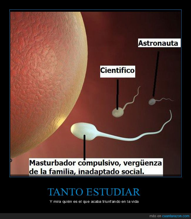espermatozoide,óvulo