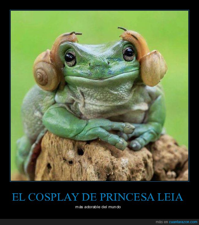 Cosplay,Princesa Leia,Rana
