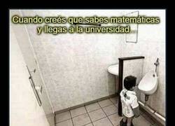 Enlace a ¿Y ahora qué?