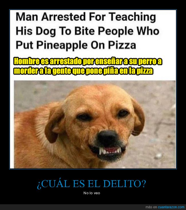 delito,perro,arrestado,piña,pizza