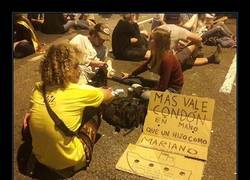 Enlace a Más razón que un Santo