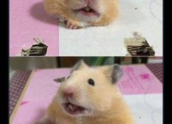 Enlace a La cara del pánico