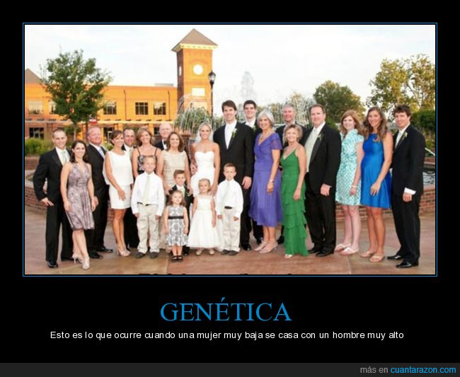 genética,familia,altos,bajos,altura