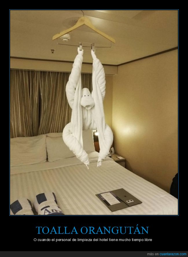 hotel toalla,orangután