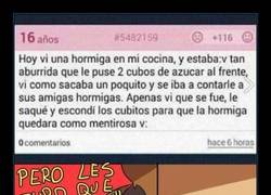 Enlace a Tanta maldad no es necesaria