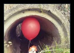 Enlace a El cosplay más tierno de IT