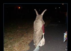 Enlace a Disfraz de babosa 100% auténtico