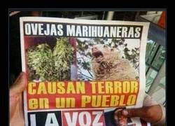 Enlace a ¿ Y CÓMO ES DONDE VIVES?