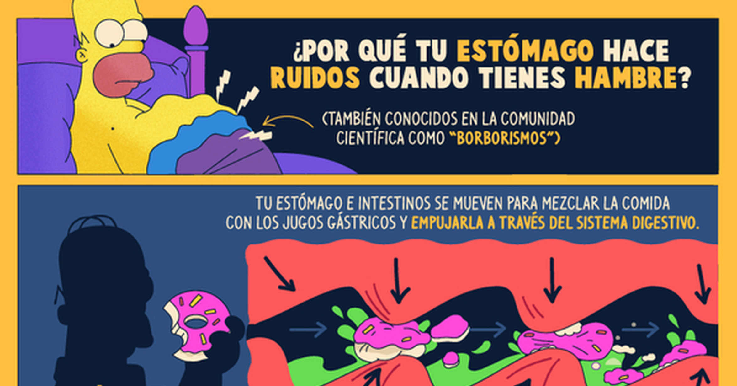 Cuanta Razon Por Que Nos Hace Ruido La Barriga