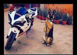 Enlace a PORFA PORFA PORFA