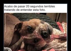 Enlace a Cuando lo veas no podrás parar de mirarlo