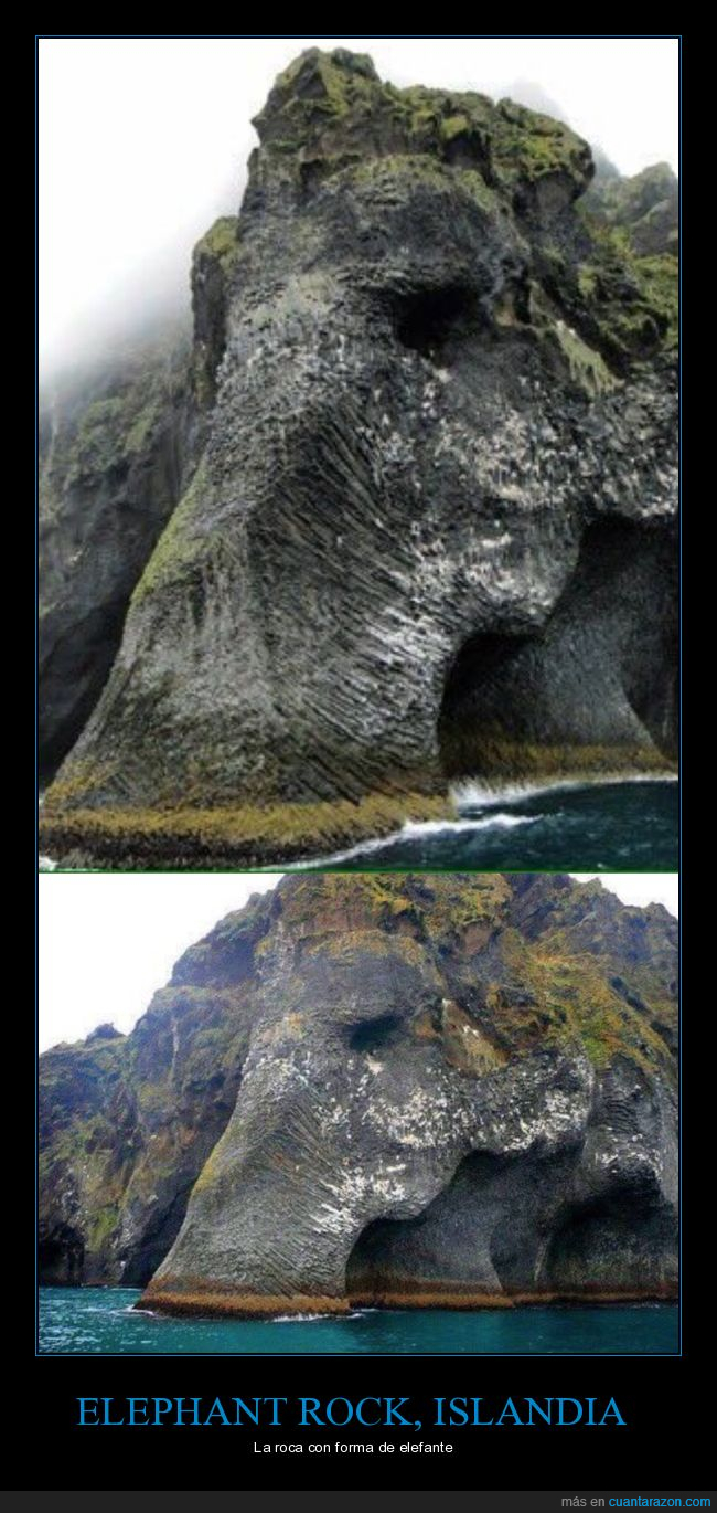 elefante,trompa,rocas,islandia