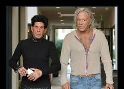 Enlace a ZOOLANDER