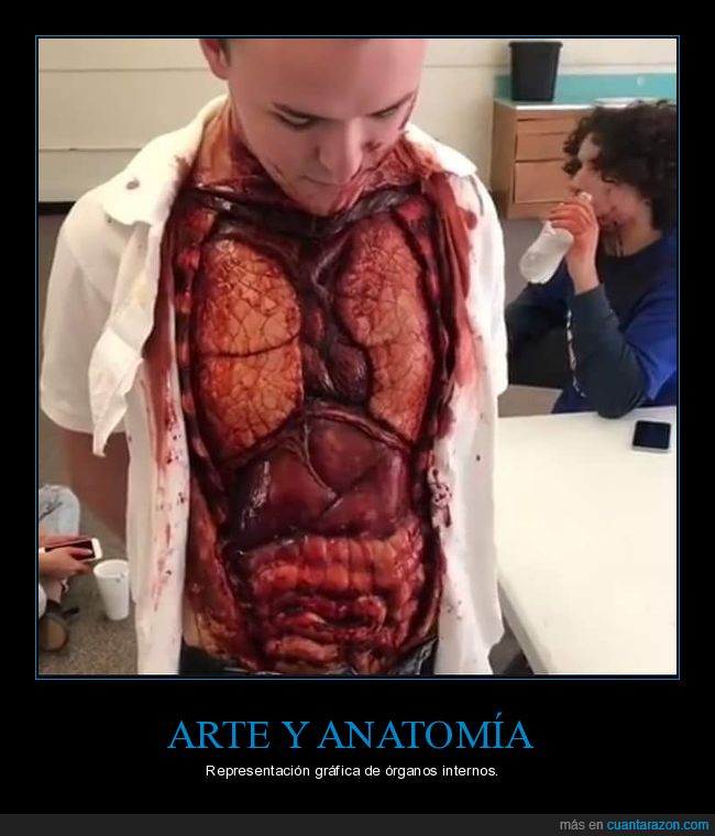 atnatomìa,òrganos