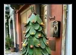 Enlace a Así son los árboles de Navidad en Canarias