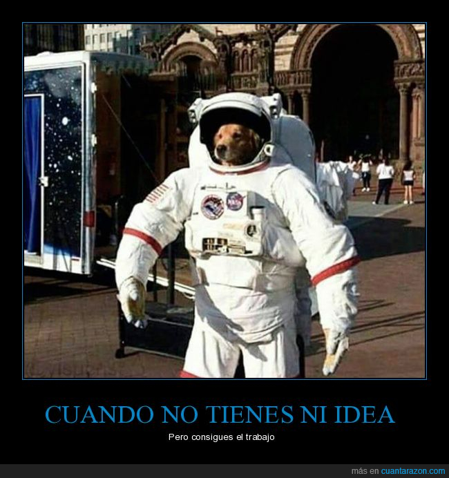 perro,astronauta,ni idea,trabajo