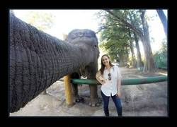 Enlace a El selfie más molón de la historia
