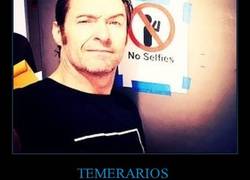 Enlace a Gente que vive al margen de la ley y que de momento se están saliendo con vida