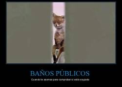 Enlace a BAÑOS PÚBLICOS