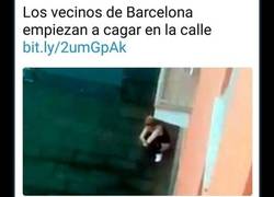 Enlace a Los 8 titulares del diario Mediterraneo Digital que lo consolidan como el más troll de nuestro país