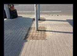 Enlace a Apenas se nota