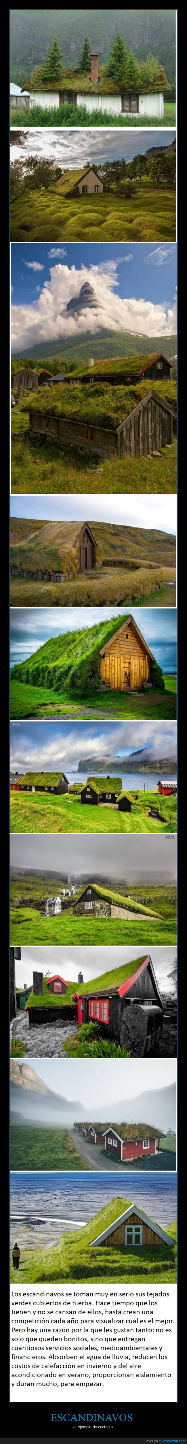escandinavos,casas,tejados