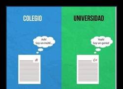 Enlace a Las jodidas diferencias de la vida en el colegio y la vida universitaria explicada en gráficos muy directos