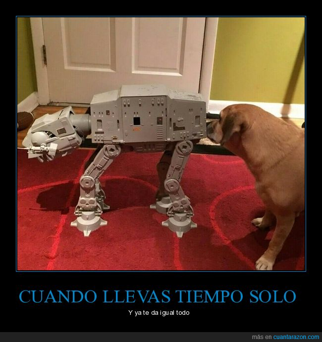 perro,can,Star Wars