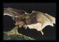 Enlace a El momento exacto antes de su fin