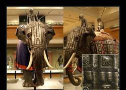 Enlace a Armadura de elefante india