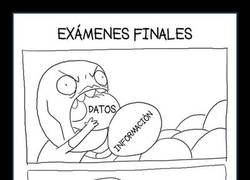 Enlace a El aprendizaje es un proceso hermoso