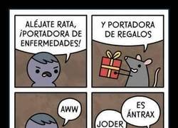 Enlace a Nunca te fíes de una rata