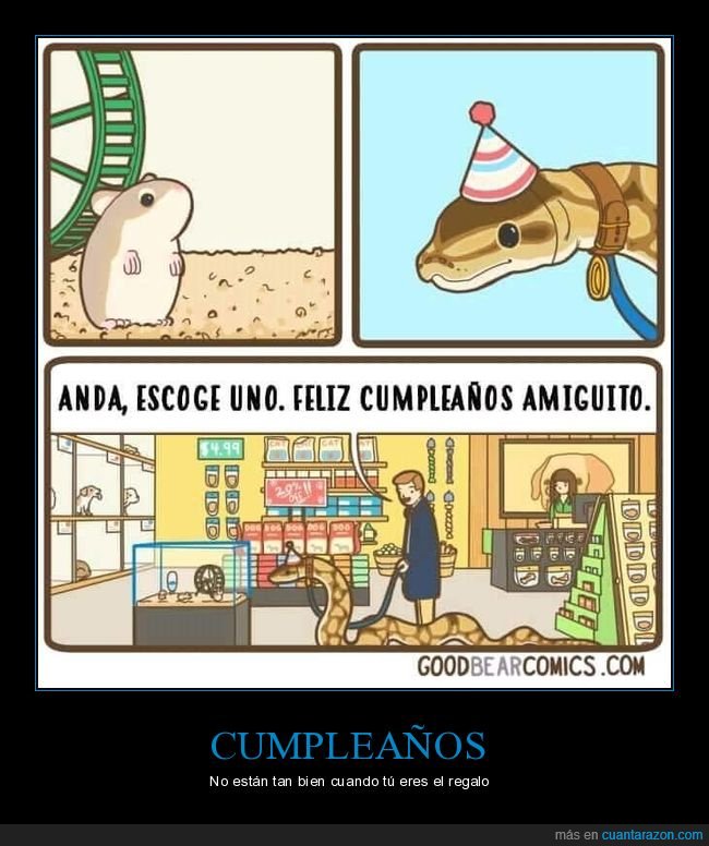 serpiente,ratón,cumpleaños,escoger