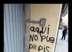 Enlace a Claro y conciso