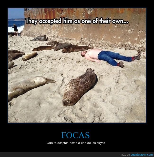 aceptar,focas,tumbado