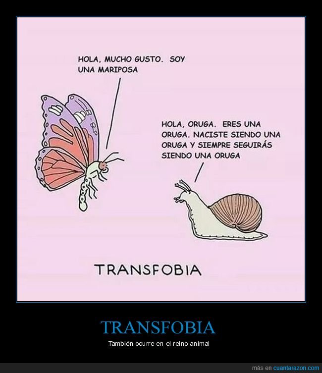 mariposa,oruga,caracol,transfobia