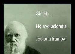 Enlace a It's a trap!