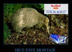 Enlace a Buscando sus alas