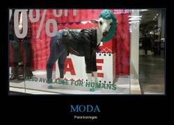 Enlace a Menos mal que avisan que también está disponible para humanos...