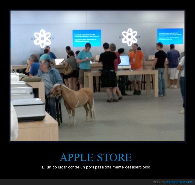 apple store,poni,wtf